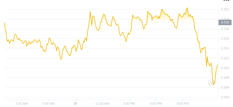 The latest price of Dogecoin at 00:00 on December 31, 2024