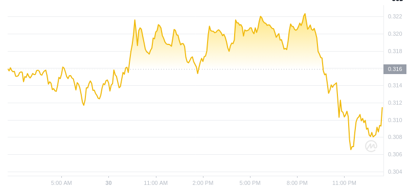 Le dernier prix du Dogecoin à 01h00 le 31 décembre 2024