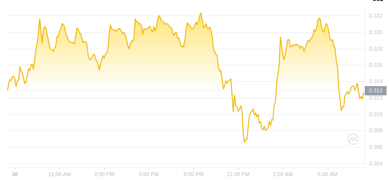 The latest price of Dogecoin at 07:00 on December 31, 2024