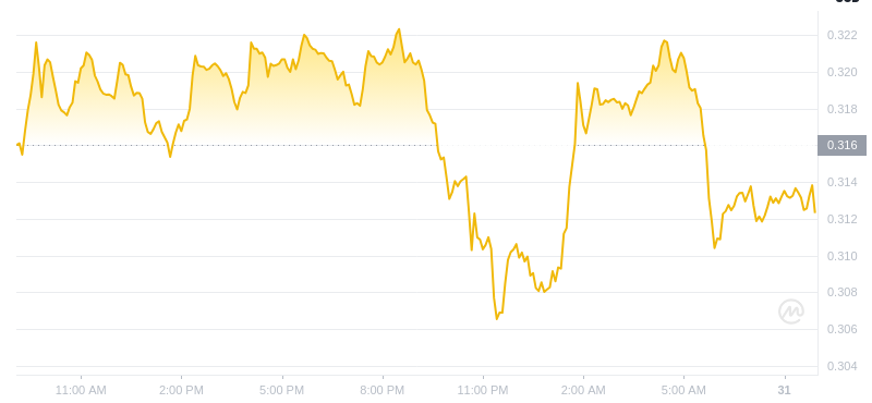 Der aktuellste Preis von Dogecoin um 09:00 Uhr am 31. Dezember 2024