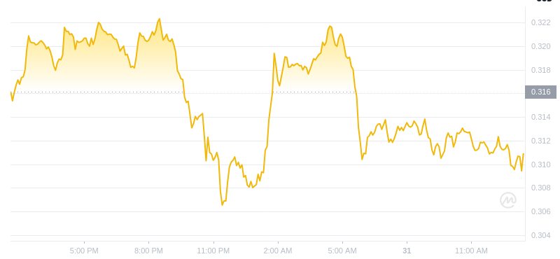 The latest price of Dogecoin at 13:00 on December 31, 2024