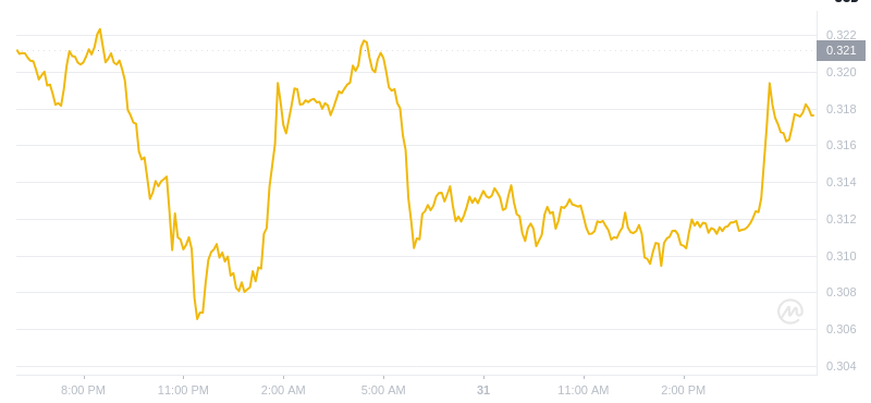 Der aktuelle Preis von Dogecoin um 18:00 Uhr am 31. Dezember 2024