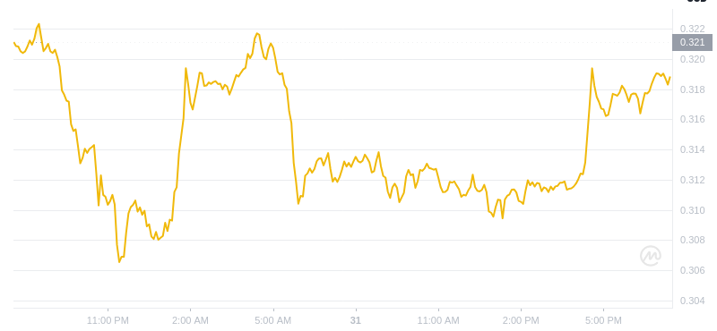 The latest price of Dogecoin at 19:00 on December 31, 2024