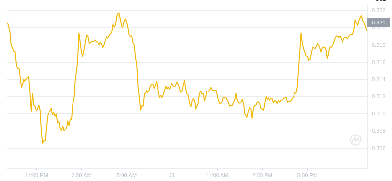 The latest price of Dogecoin at 21:00 on December 31, 2024