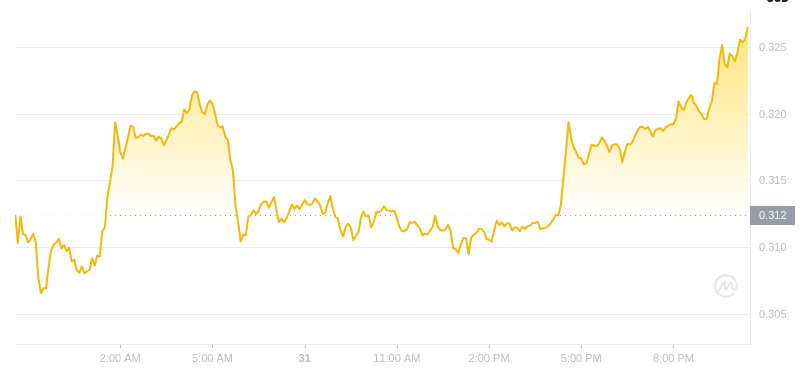 The latest price of Dogecoin at 22:00 on December 31, 2024