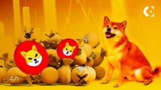 Shiba Inu wird 85 % zulegen? Die Marktrolle von Dogecoin beim SHIB-Preisanstieg