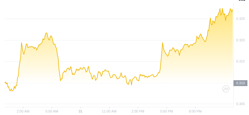 Le dernier prix du Dogecoin à 00h00 le 1er janvier 2025