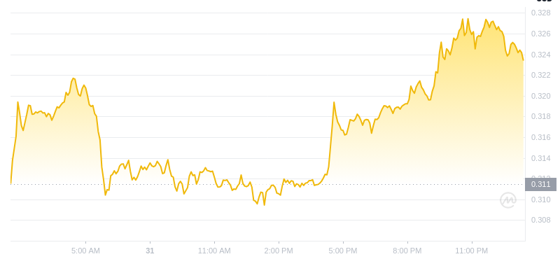 Le dernier prix du Dogecoin à 01h00 le 1er janvier 2025