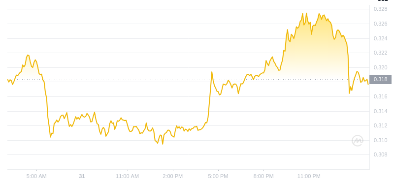 The latest price of Dogecoin at 03:00 on January 1, 2025