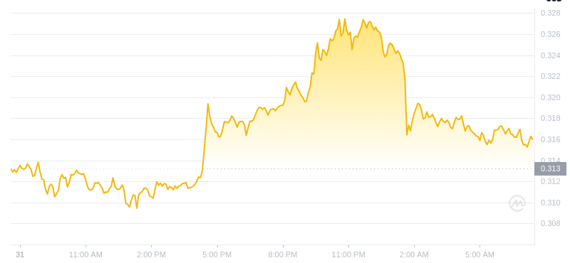 2025년 1월 1일 07:00의 Dogecoin 최신 가격