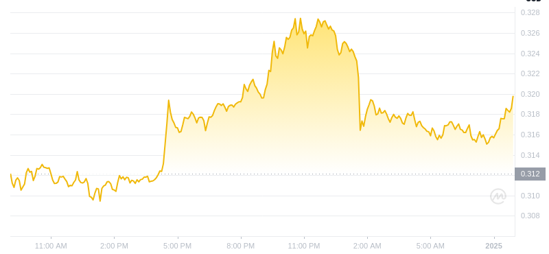 Der aktuelle Preis von Dogecoin um 09:00 Uhr am 1. Januar 2025