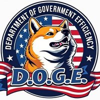 D.O.G.E (DOGE)