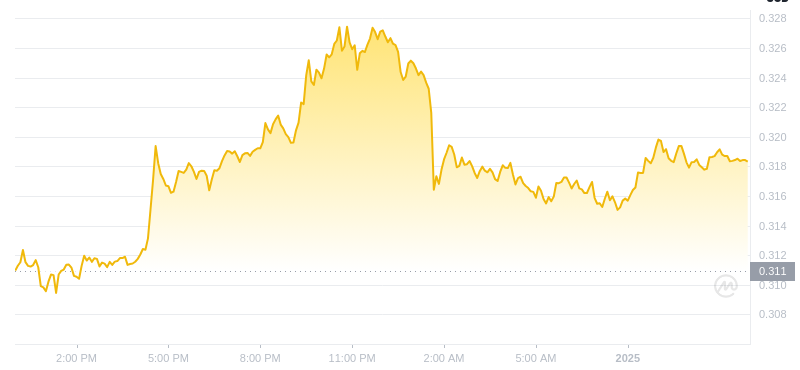 Der aktuelle Preis von Dogecoin um 12:00 Uhr am 1. Januar 2025