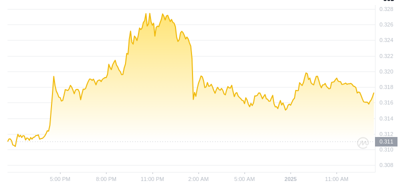 2025년 1월 1일 13:00의 Dogecoin 최신 가격