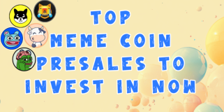 5 Best New Meme Coin Presales to Join in January 2025: Buying the Dip Made Easy with BIG50