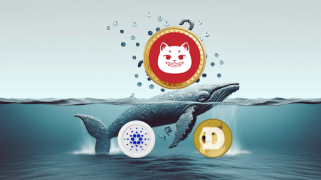 Whales Exit ADA and DOGE for This New Solana Coin’s Explosive x1000 Potential