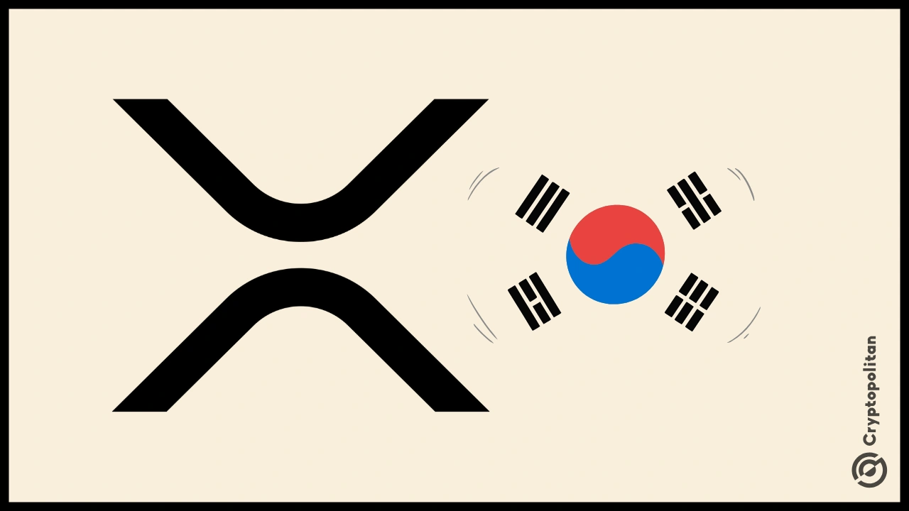 비트코인과 도지코인을 제치고 한국의 XRP 상승