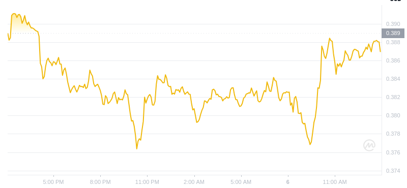 Der aktuelle Preis von Dogecoin um 14:00 Uhr am 6. Januar 2025