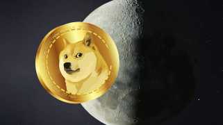 Die massiven Käufe der Dogecoin-Wale sorgen für Aufregung