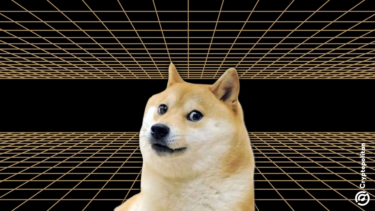 Santiment 表明低 DOGE 社交活动可能带来机会