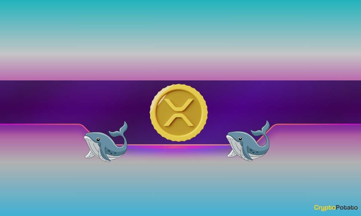 Alors que les baleines continuent d’acheter, comment les prix du Ripple (XRP) et du Dogecoin (DOGE) réagiront-ils ?