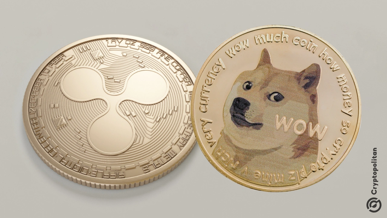 DOGE 和 XRP 鯨魚購買了數十億枚代幣