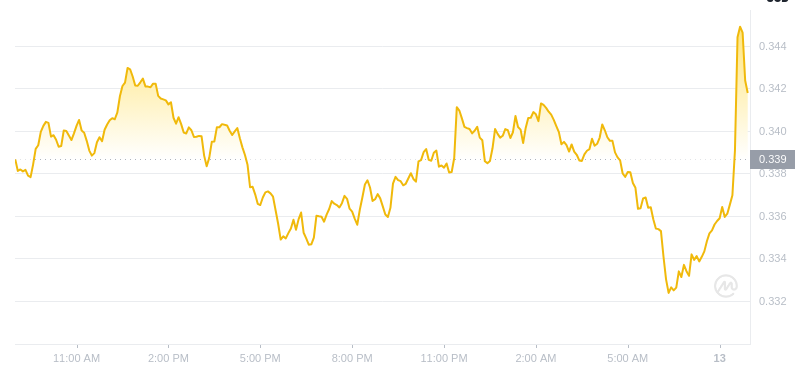 Le dernier prix du Dogecoin à 09h00 le 13 janvier 2025