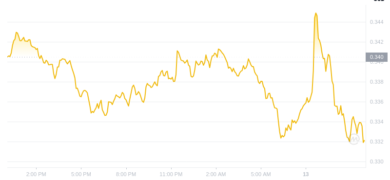 2025년 1월 13일 12:00의 Dogecoin 최신 가격