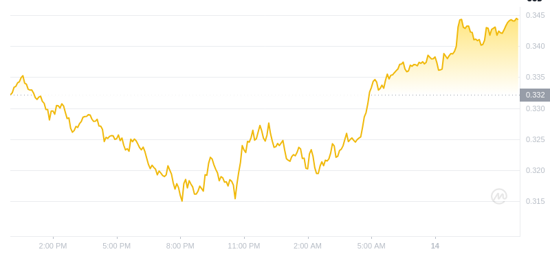 Der aktuellste Preis für Dogecoin um 12:00 Uhr am 14. Januar 2025