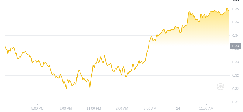 Der aktuelle Preis von Dogecoin um 13:00 Uhr am 14. Januar 2025