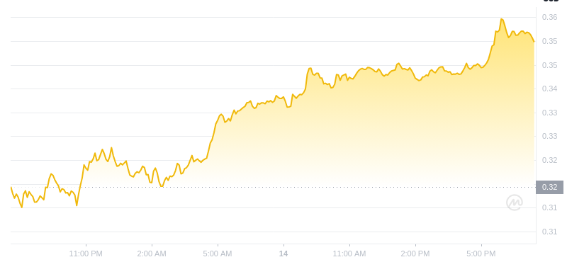 Le dernier prix du Dogecoin à 19h00 le 14 janvier 2025