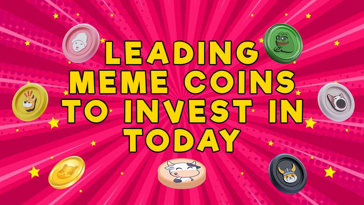 The 3 Best Meme Coin Presales to Buy Now: BTFD Coin, Gigachad, and Peanut the Squirrel