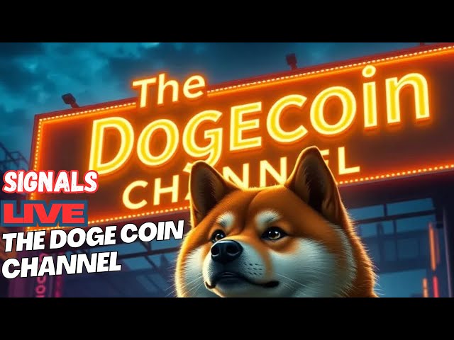 The Doge Coin channel