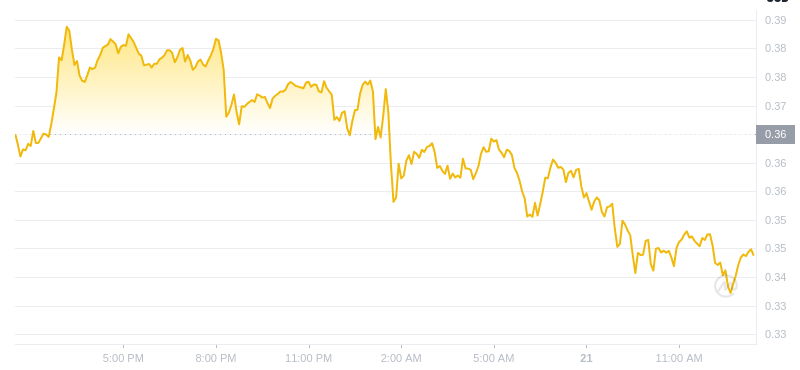 Der aktuelle Preis von Dogecoin um 13:00 Uhr am 21. Januar 2025