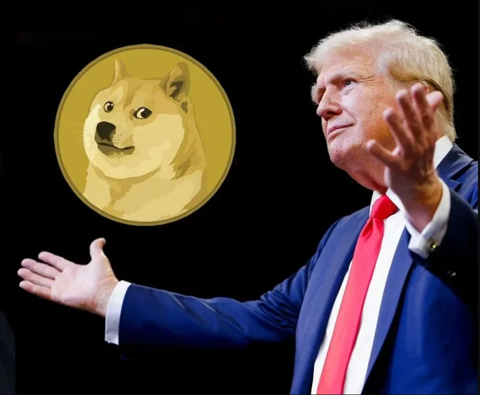 Genau da! Die ersten Schritte des DOGE-Ministeriums unter der Leitung von Elon Musk! Dogecoin (DOGE)-Preis steigt!