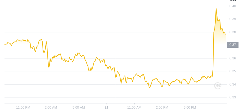 Der aktuelle Preis von Dogecoin um 21:00 Uhr am 21. Januar 2025