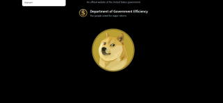 Un chien américain arbore le logo Dogecoin après l'annonce de l'investiture de Trump