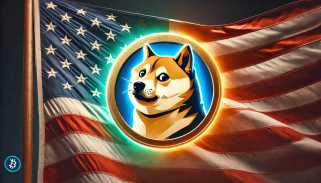 Dogecoin-Logo auf der DOGE-Website der US-Regierung