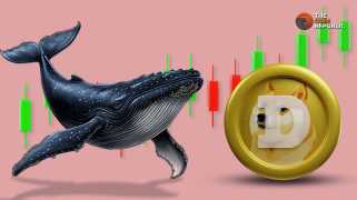 Dogecoin Whale Activity Surges as Price Nears $0.30 Support Level, What’s Next?