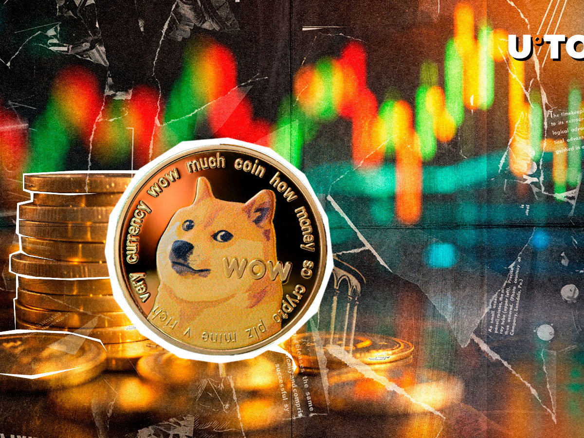 135,428,813 Dogecoin (DOGE) on Biggest Crypto Exchange, What's Happening?