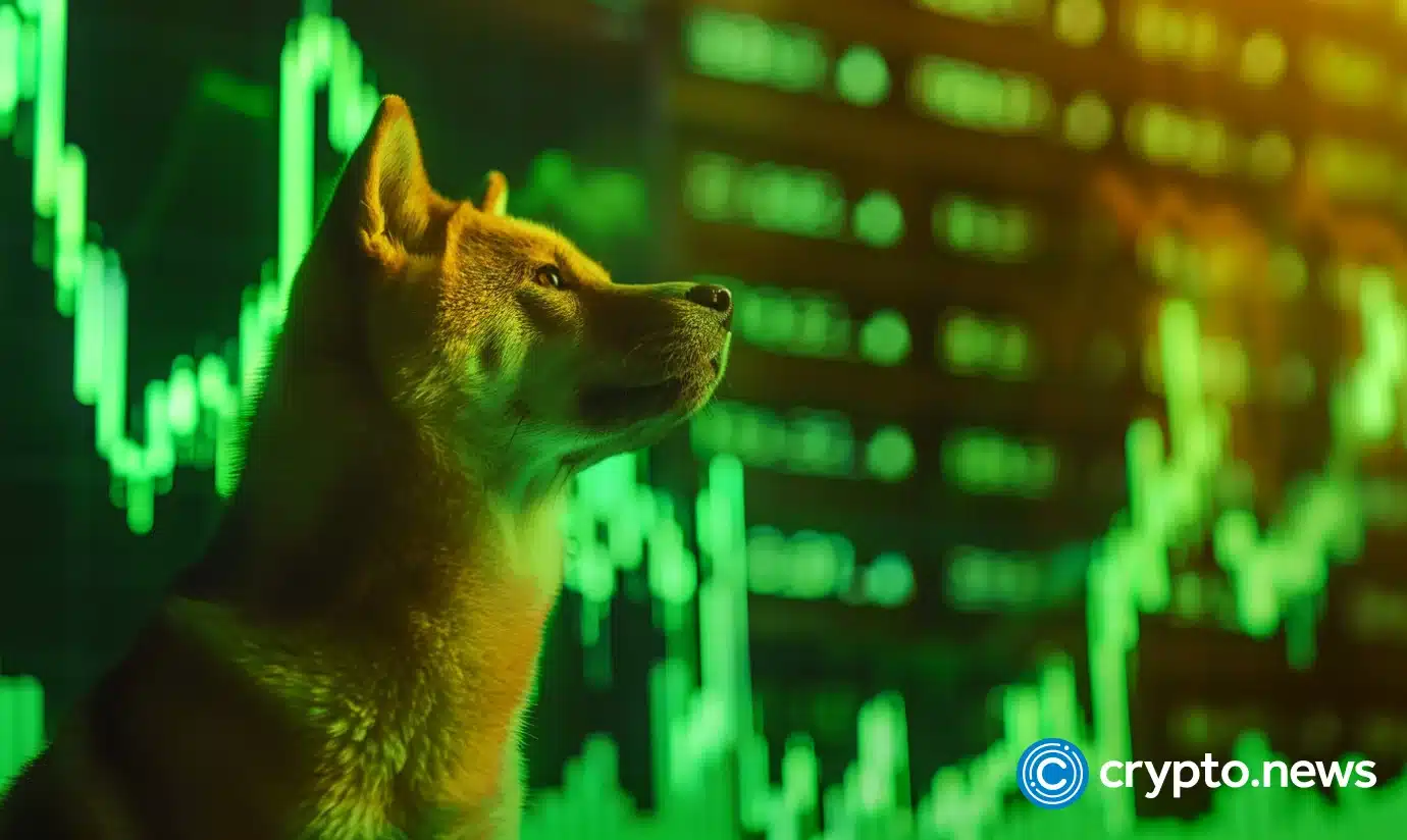 Crypto whales bet on Dogecoin amid 14% rally, 50% jump could be next