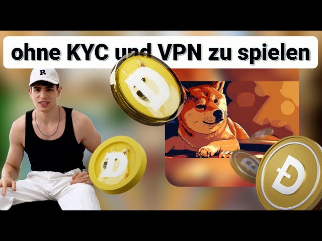 DOGE Coin Casino that allows players in Switzerland to play without KYC and VPN