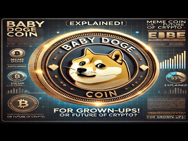 Baby Doge Coin Explained:Meme Coin or Future of Crypto| Baby Doge Coin| meme coins |crypto investing