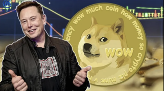 Les amateurs de Dogecoin (Doge) gagnent 8 000 $ par le nuage d'extraction de nuages ​​tous les jours