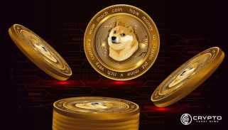 Dogecoin Eyes Breakout可能會出現80％的激增至$ 0.6533