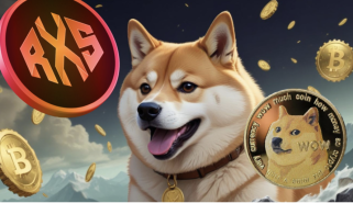 Dogecoin（Doge）ギアの17000％の集会。