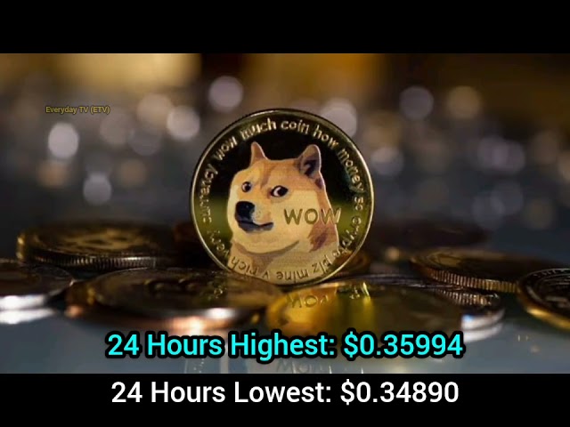 Doge Coin Price aujourd'hui en direct | Doge Coun Price aujourd'hui en USD en temps réel | Doge Coin Price Today Chart