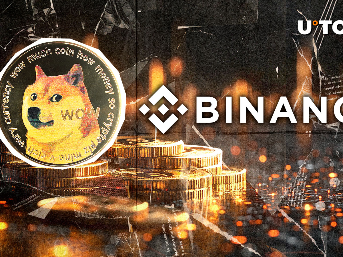 175,274,112 DOGE Stuns World's Largest Exchange, Binance – What's Happening?