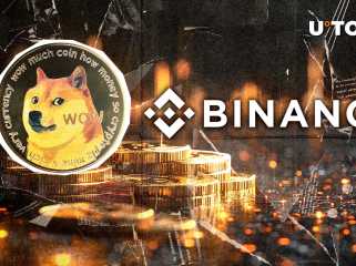 175,274,112 DOGE Stuns World's Largest Exchange, Binance – What's Happening?