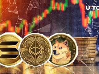 Sol, Doge, ETH Capital 금리는 시장에 대한 비상 경고를 발행했습니다 : 자세한 정보